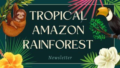 Tropical Amazon Rainforest Newsletter Slides