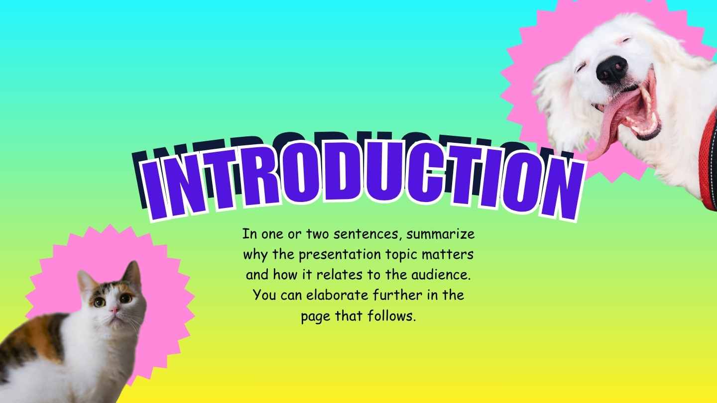 Ugliest Slides Presentation - slide 3