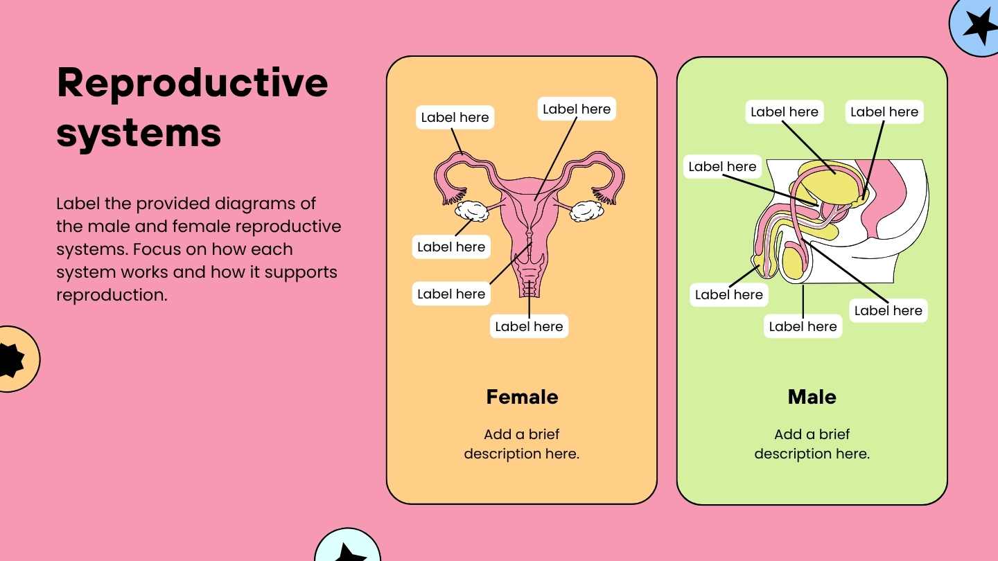 Understanding Sexual Health Lesson Slides for High School - slide 4