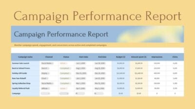 Campaign Performance Report Sheet