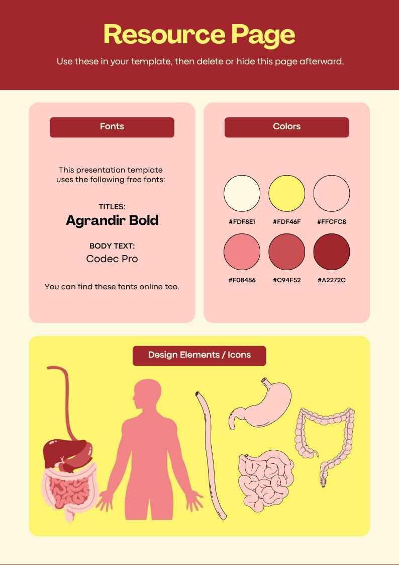 Digestive System Infographic - slide 2