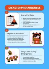 Disaster Safety Infographic