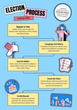 Election Process Infographic