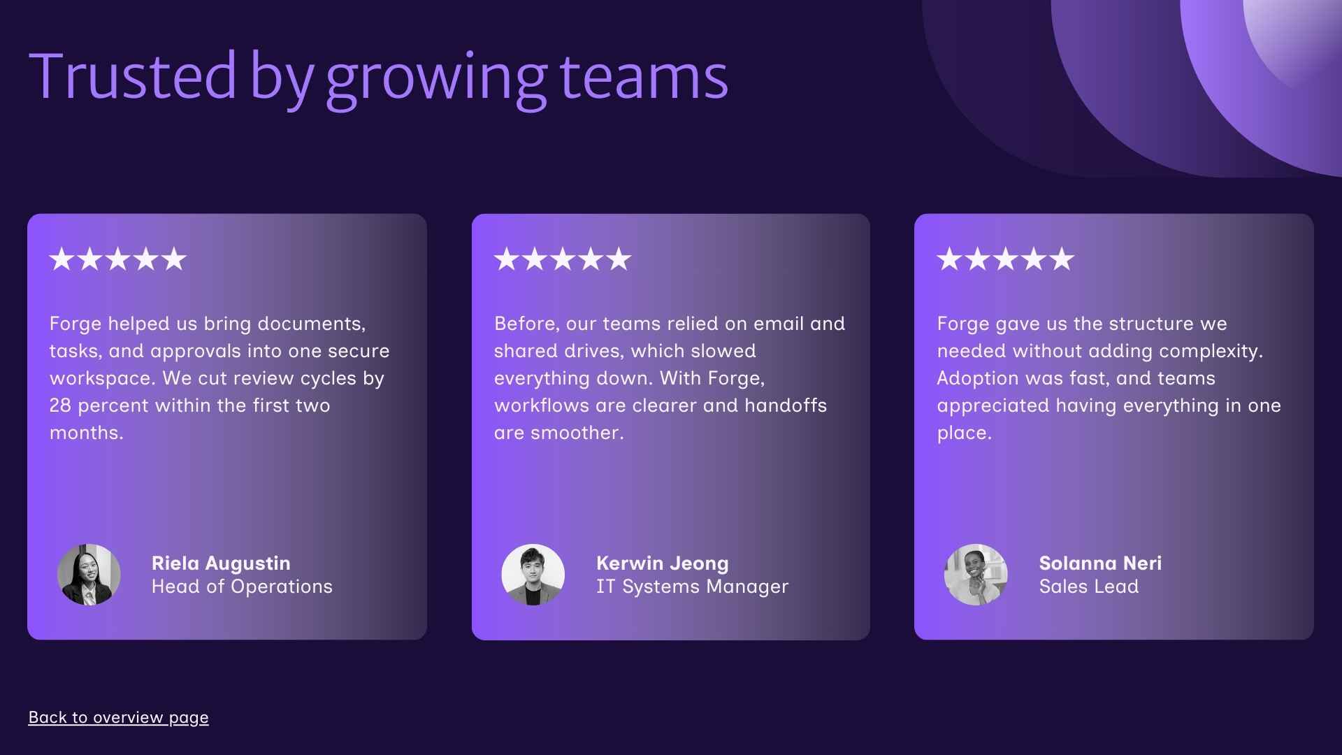 IT Software Sales Proposal Slides - slide 8