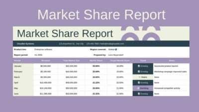 Market Share Report Sheet