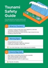 Tsunami Safety Infographic