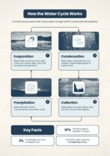 Water Cycle Infographic