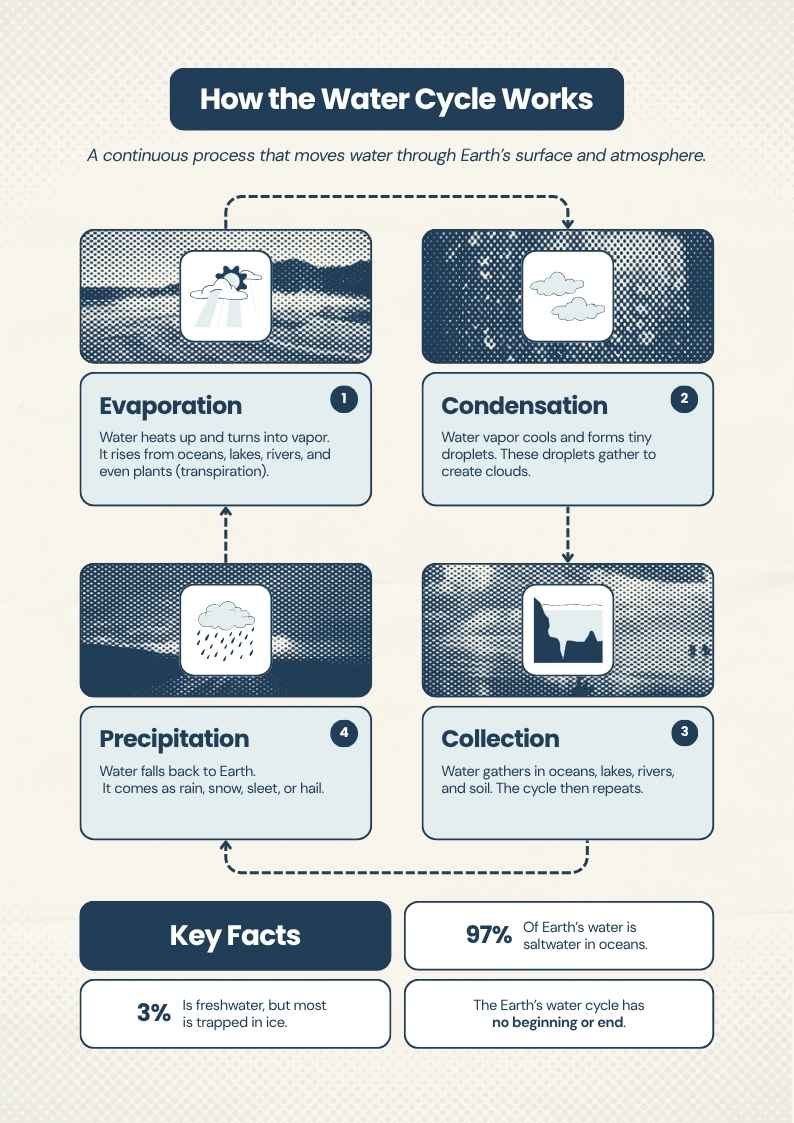 Water Cycle Infographic - slide 1